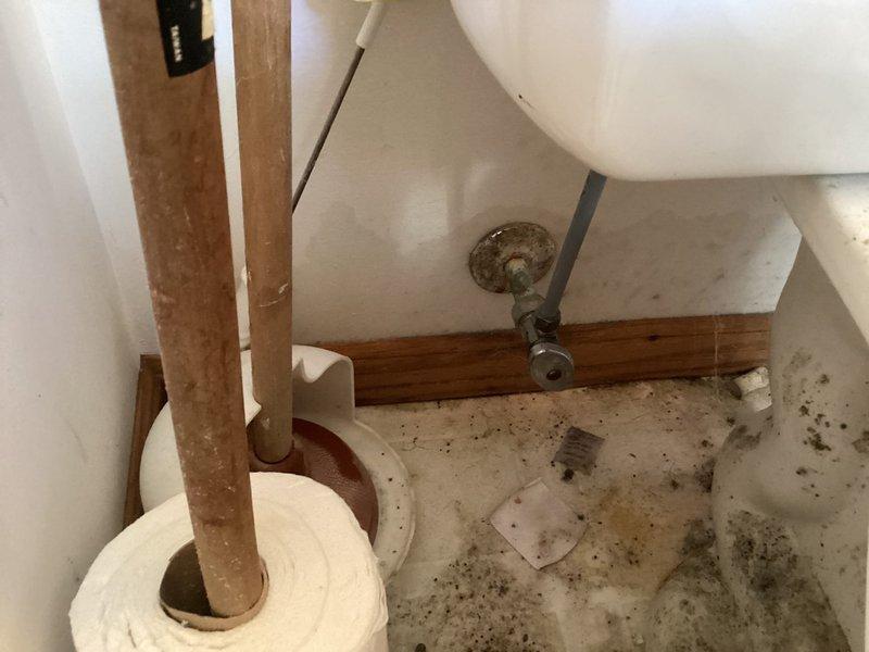 Diagnosed and repaired pinhole leak in 1/2" copper supply line to toilet that was causing water damage to bathroom floor and adjacent closet. Customer had water service shut off upon arrival. Completed necessary repairs, restoring water service and eliminating the leak.