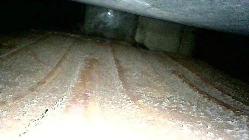 Performed furnace tune-up on FRP unit of unknown age. Detected critical safety issues including a cracked heat exchanger, extremely dirty blower motor, and dangerously elevated carbon monoxide levels exceeding 100 ppm. Showed homeowner the cracked heat exchanger and carbon monoxide readings. Set up a sales appointment to discuss replacement options.