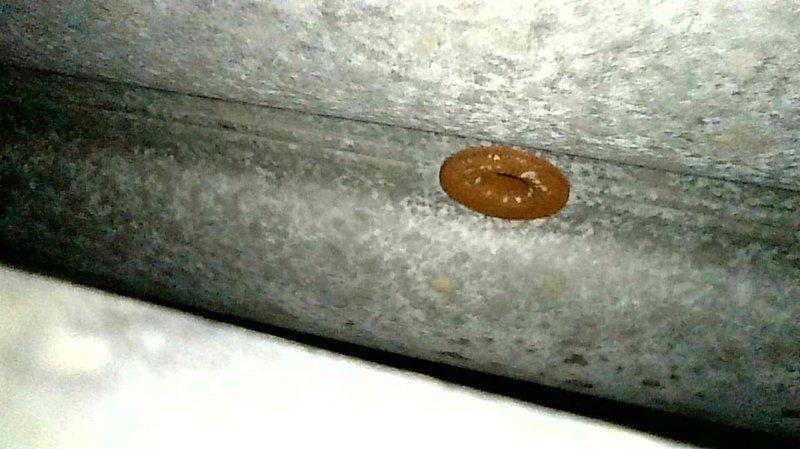 Performed annual tune-up maintenance on customer's 1-year-old natural gas furnace. Inspected heat exchanger and exhaust components, verified proper system operation. No issues found; system operating within normal parameters. Recommended continuing regular maintenance schedule to maintain efficiency and extend equipment life.