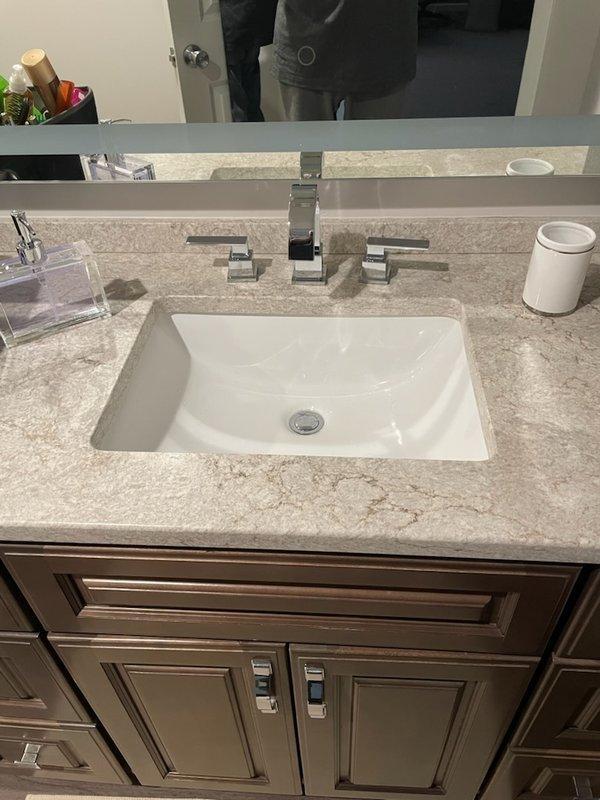 Eden Prairie, MN - Responded to service call for Delta faucet with no hot water flow. Diagnosed issue with flow valve/cartridge that needed replacement. Customer had already disassembled the faucet. Installed new cartridge and reassembled bathroom vanity faucet, restoring proper hot water functionality.