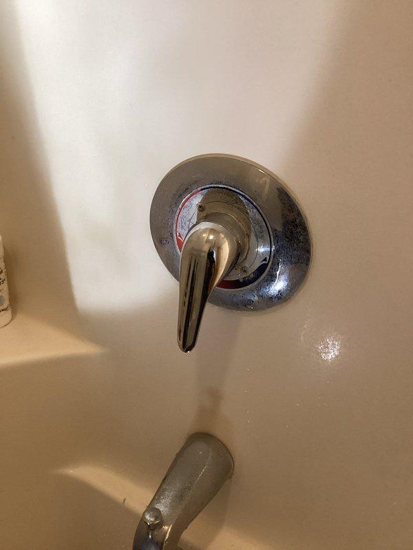 Responded to no hot water complaint affecting upstairs shower only. Inspected chrome faucet valve assembly and determined faulty cartridge preventing proper temperature regulation. Provided estimate for cartridge replacement to restore normal hot water function to shower while maintaining existing functionality at lavatory sink.