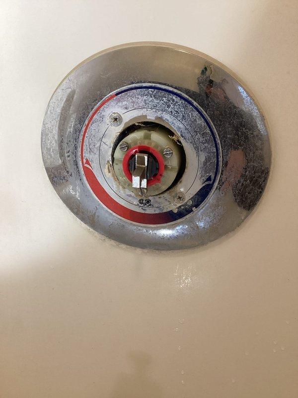 Responded to no hot water complaint affecting upstairs shower only. Inspected chrome faucet valve assembly and determined faulty cartridge preventing proper temperature regulation. Provided estimate for cartridge replacement to restore normal hot water function to shower while maintaining existing functionality at lavatory sink.