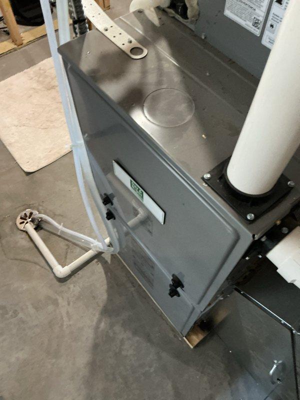 Performed maintenance tune-up on 3-year-old furnace system with integrated humidifier. Inspected all electrical connections and blower assembly. Unit is operating normally with no issues identified. All components photographed for documentation purposes.