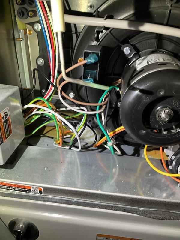 Performed maintenance tune-up on 3-year-old furnace system with integrated humidifier. Inspected all electrical connections and blower assembly. Unit is operating normally with no issues identified. All components photographed for documentation purposes.