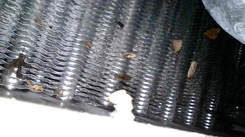 Performed furnace tune-up on a 17-year-old natural gas regulator that was improperly installed for an LP gas single-stage furnace serving three zones. Inspected the heat exchanger and condenser coils, noting debris accumulation requiring cleaning. Examined the Honeywell digital thermostat which was functioning properly with correct temperature readings. Customer indicated limited interest in full system replacement at this time.