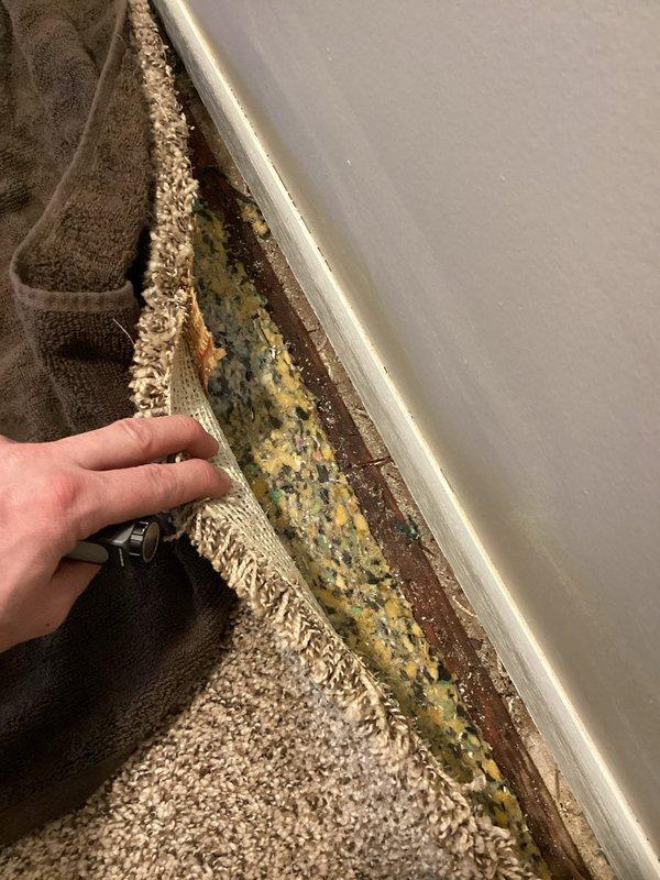 Responded to water leak complaint around newly installed furnace. Upon inspection, found no active leaks from furnace (80%) or humidifier. Discovered significant mold growth under carpet near installation area, likely from previous moisture exposure. Cycled water softener with homeowner to determine if this was potential source of intermittent leakage.