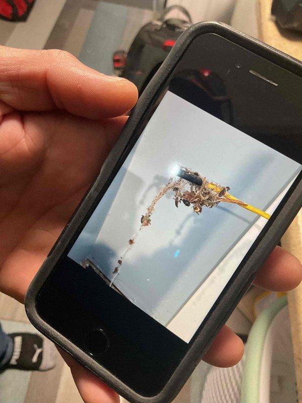 Performed comprehensive furnace inspection and tune-up service as requested for home purchase evaluation. Identified and replaced damaged damper system and repaired kinked gas line to restore proper functionality. Conducted electrical diagnostic testing of system components to ensure safe and efficient operation.