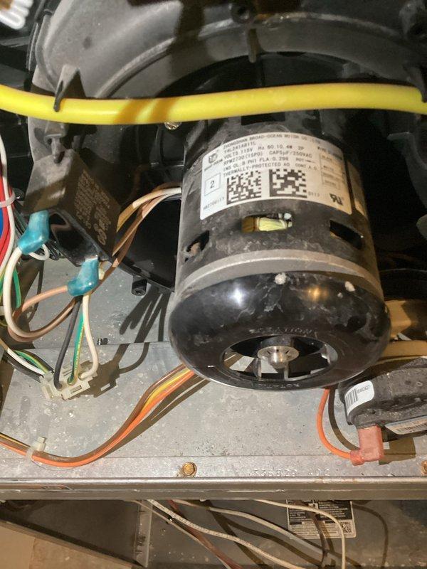 Conducted second opinion assessment on 9-year-old Bryant furnace previously condemned by another company for compromised secondary heat exchanger. Performed comprehensive inspection including scope examination of primary and secondary heat exchangers, finding no evidence of compromise or failure. Verified all components functioning properly; system restored to normal operation with no repairs needed.