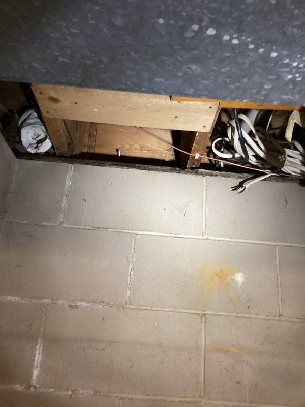 # Plumbing Service Report

Responded to service call for laundry room plumbing installation and water treatment consultation. Assessed existing utility space to determine requirements for new washer and dryer water supply lines. Evaluated current plumbing infrastructure in basement area, including access points through cinder block walls and proximity to existing HVAC ductwork and refrigerant lines. Documented site conditions via photographs showing available workspace, wall penetrations, and mechanical room layout to develop comprehensive estimate for laundry hookup installation. Discussed water softener system options with customer based on household needs and existing plumbing configuration. Provided detailed estimate for complete laundry room water line installation including hot and cold supply connections and drain provisions.