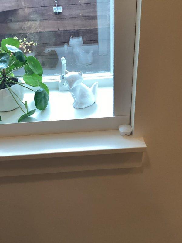 Responded to basement temperature inconsistency complaint with eco bee thermostat system controlling boiler and baseboard radiators. Discovered temperature discrepancy caused by averaging between thermostat and sensor readings; reconfigured system to read from thermostat sensor only and advised customer on potential need for further temperature adjustments.