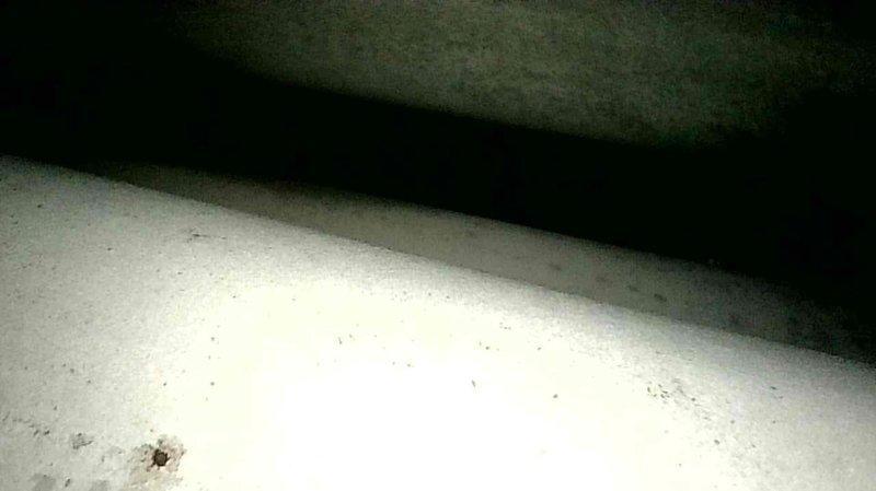 Completed complimentary inspection of furnace heat exchanger and confirmed presence of compromised heat exchanger with visible hole. Heat exchanger was replaced to restore system integrity and safe operation.