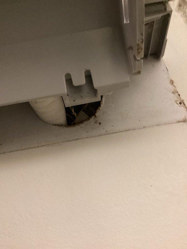 Performed comprehensive cleaning of multiple mini-split air handler units, finding extreme contamination including a mice nest in one unit. Sealed access hole to prevent future infestations. Identified loud motor operation in one unit likely due to prolonged overwork. Two units remain to be cleaned during scheduled follow-up visit, with recommendation for motor or complete head replacement on affected unit.