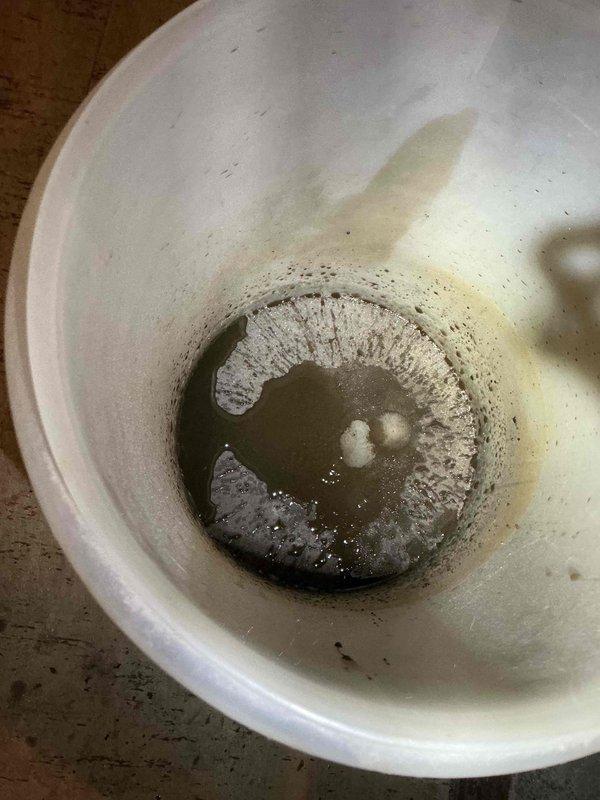 Responded to emergency no-heat call for 10+ year old boiler system. Found multiple issues including power/gas shutoff, low pressure, failed circulation pump, plugged vents, compromised expansion tank, and worn thermocouple. System also exhibited problems with seized water supply valve and required air vent replacement. Restored system functionality by addressing critical components; customer was advised of additional concerns regarding piping and air separator that will require future attention.