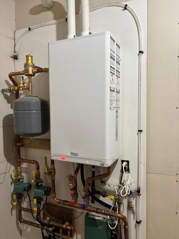 Responded to no-heat call for one-year-old boiler showing error code. Discovered dead bird obstructing venting and condensate system, requiring disassembly of equipment for removal and thorough flushing. Noted minor dripping from relief valve during operational verification after service was completed.