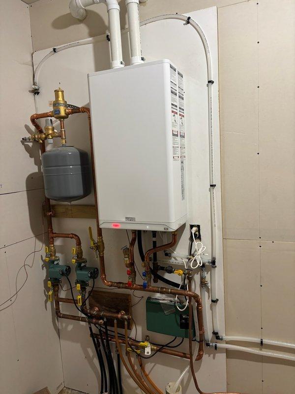 Responded to no-heat call for one-year-old boiler showing error code. Discovered dead bird obstructing venting and condensate system, requiring disassembly of equipment for removal and thorough flushing. Noted minor dripping from relief valve during operational verification after service was completed.