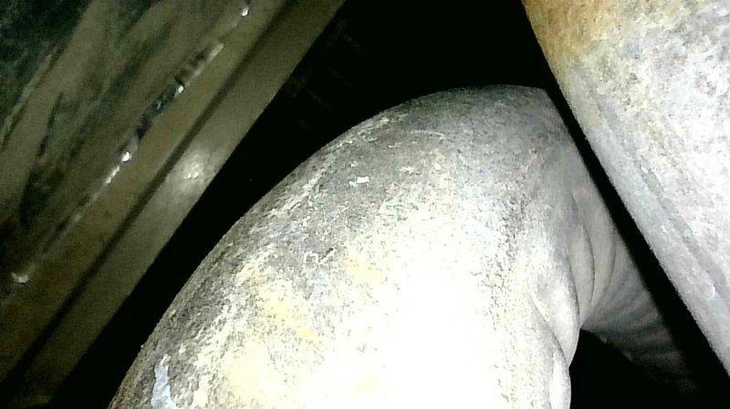 Responded to no heat complaint on aging furnace system. Diagnosed plugged pressure switch port as the primary issue; performed thorough cleaning of the affected component. Conducted comprehensive inspection of heat exchanger, burners, and overall system to ensure safe operation. System is now functioning properly, though customer was advised that unit is approaching end of service life.